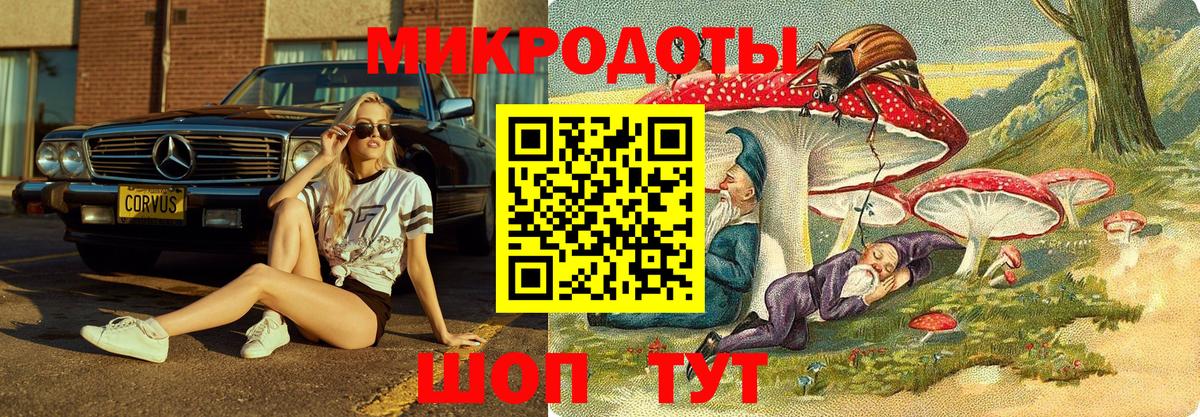 Камышлов  Галлюциногенные грибы мухоморы  Вход с VPN  Псилоцибиновые грибы прущие грибы 